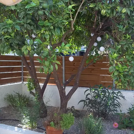 Apartament Dione *